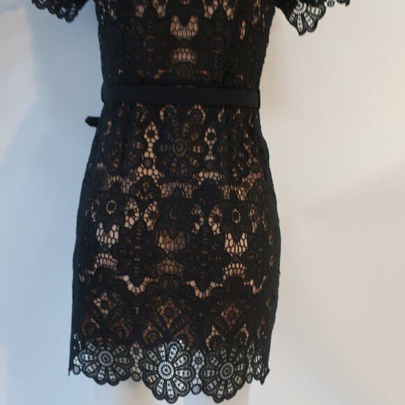 Womens Self-Portrait Black White Guipure Lace Sheath Cindy Mini Dress 6 - Picture 14 of 16